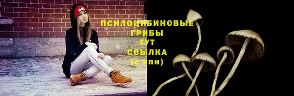 гашиш Нефтекумск