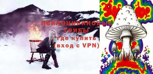 молекула духа Нефтегорск