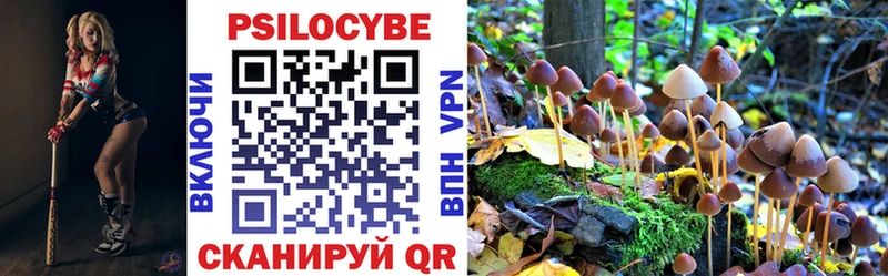 Галлюциногенные грибы Psilocybe  цены   Сибай 